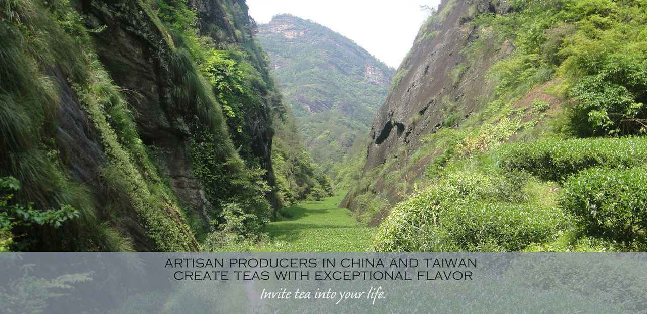 artisan producers in china and taiwan create teas with exceptional flavor