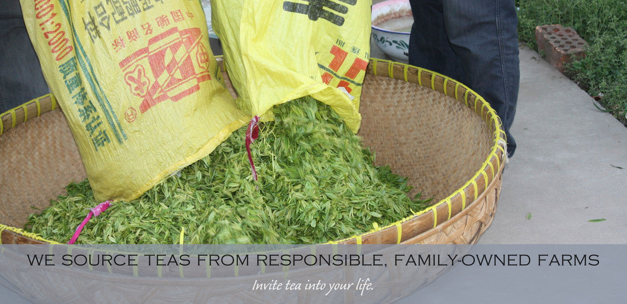 we source tea from responsible, family-owned farms