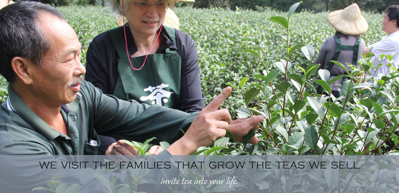 we visit the families that grow the teas we sell